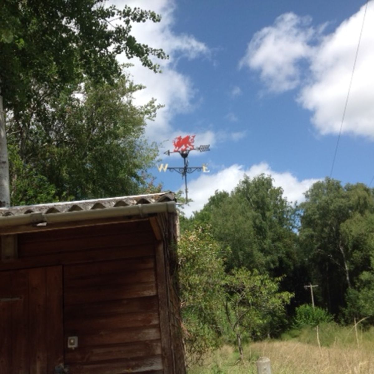 Welsh dragon weathervane log cabin